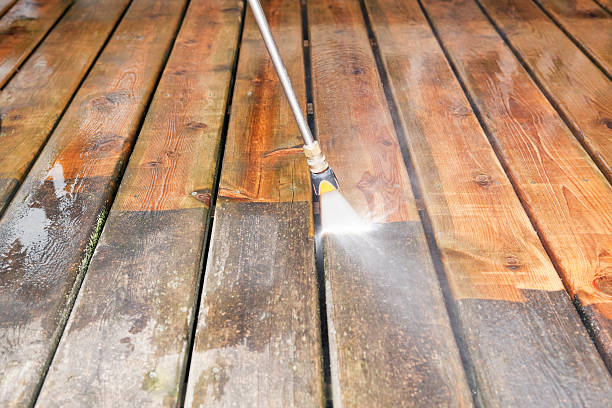Best Soft Washing for Delicate Surfaces in Shively, KY